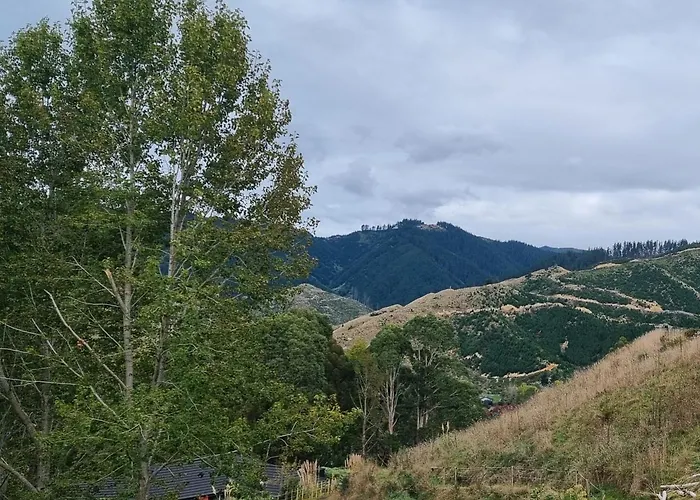 Hilltop View Nikau Valley