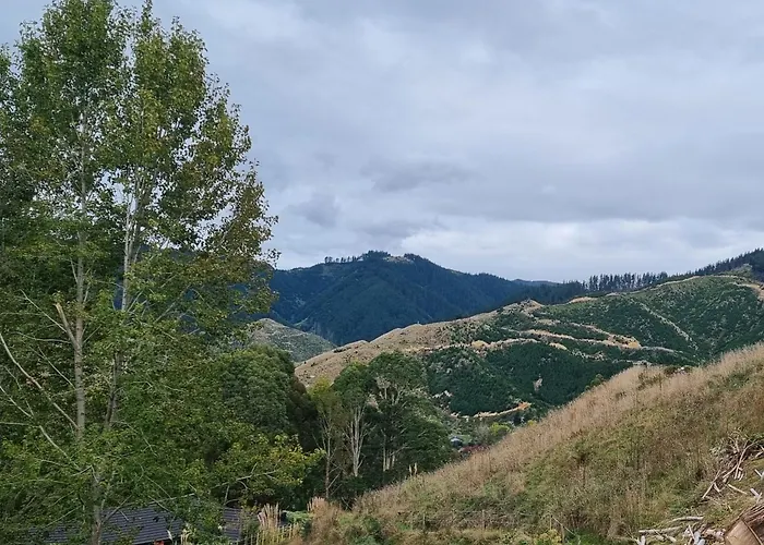 Hilltop View Nikau Valley