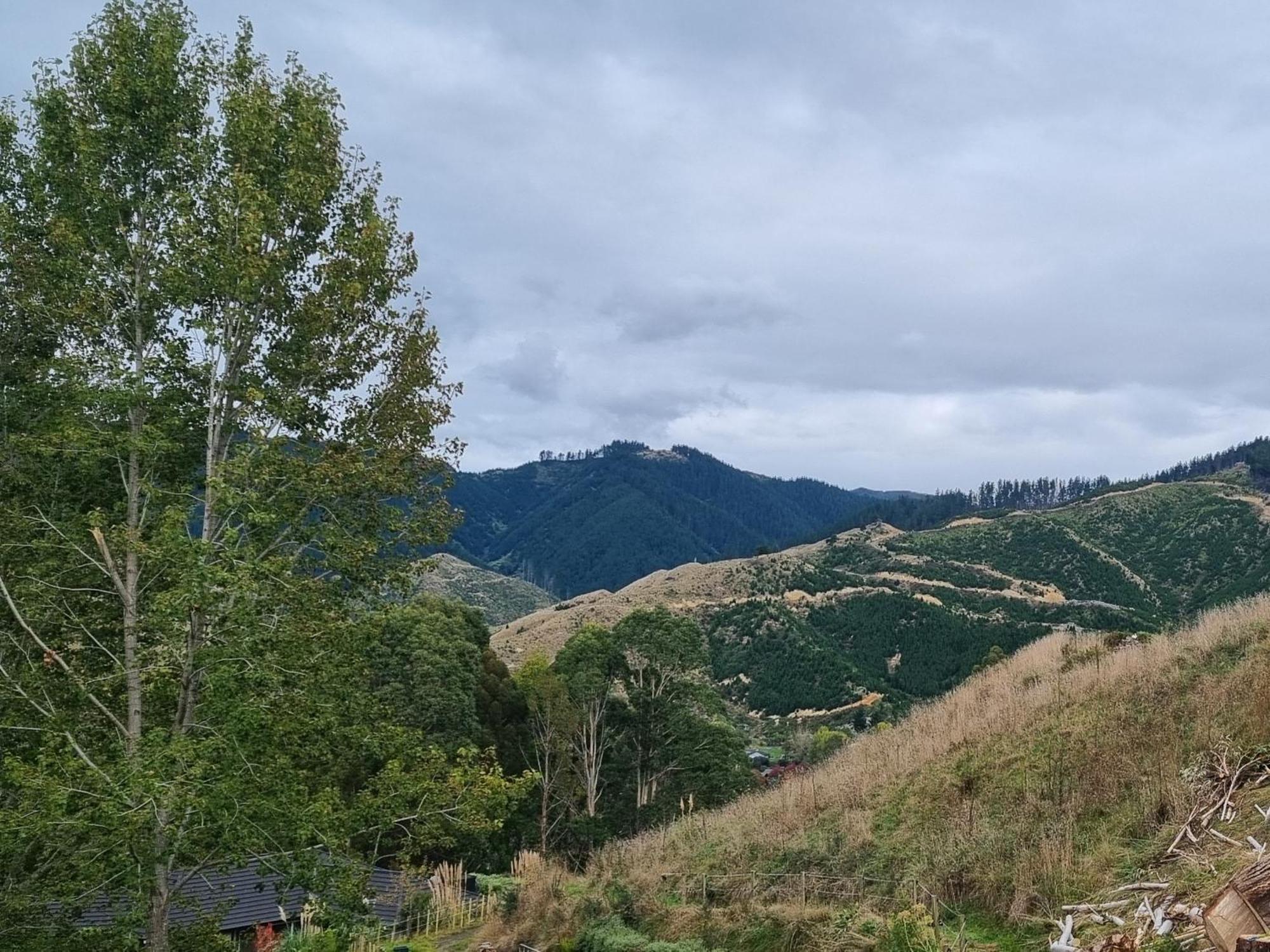 Holiday home Hilltop View Nikau Valley *